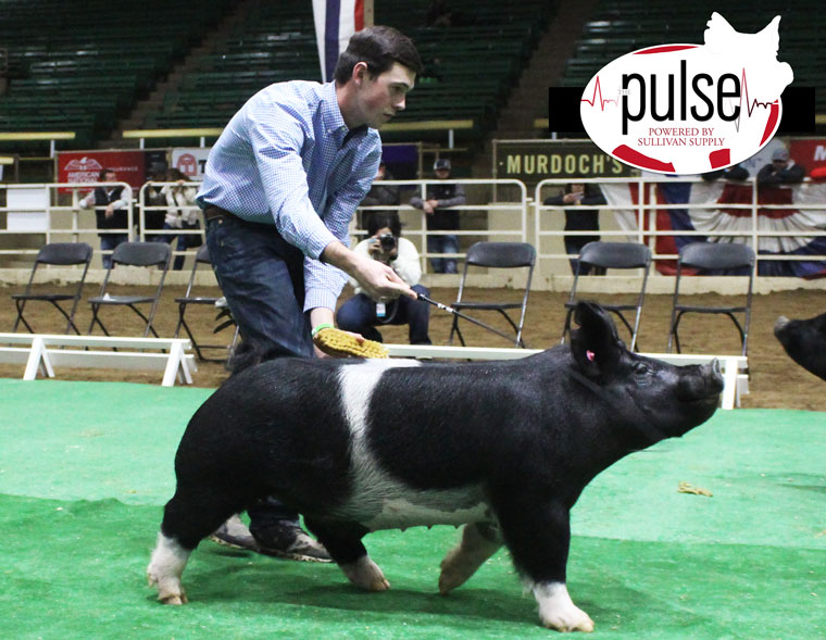 clintwfischer's tweet photo. The @NationalWestern starts in 5 days...
Will we see a hog beat last year's $60,000 Junior Auction top? #AgTwitter #showpig https://t.co/1LuZWdW3po