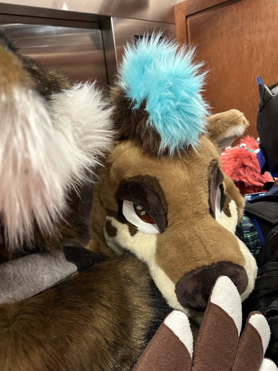 Scout_Monster's tweet image. This Ott looked absolutely trapped in the elevator #pdfc