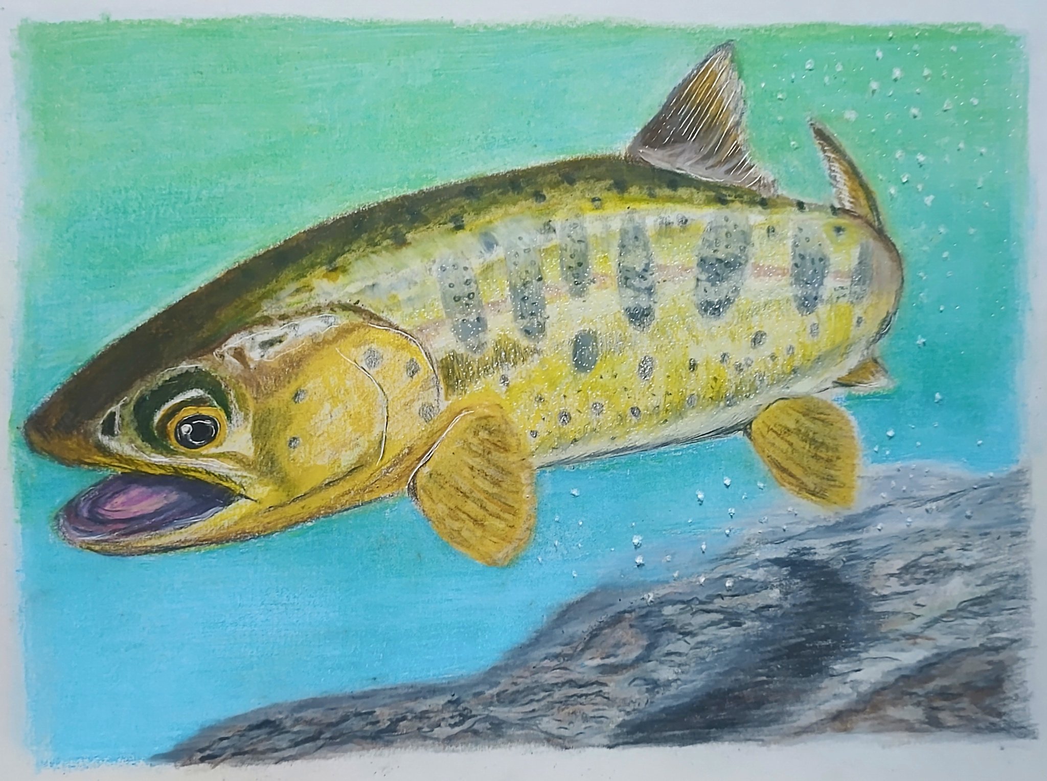 がまかつ がま渓流 山女魚 尺抜 610