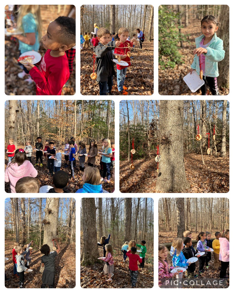 Jaime Sprouse (@maestritadeesol) on Twitter photo <a href="/WNeiditch_K/">Whitney Neiditch</a> and @maryannetysing1 Ss made some amazing animal feeders and hung them on the <a href="/weRrandolph/">Randolph Elementary</a> nature trail to help our animal friends out when food is scarce. <a href="/WNeiditch_K/">Whitney Neiditch</a> and @maryannetysing1 Ss made some amazing animal feeders and hung them on the <a href="/weRrandolph/">Randolph Elementary</a> nature trail to help our animal friends out when food is scarce.