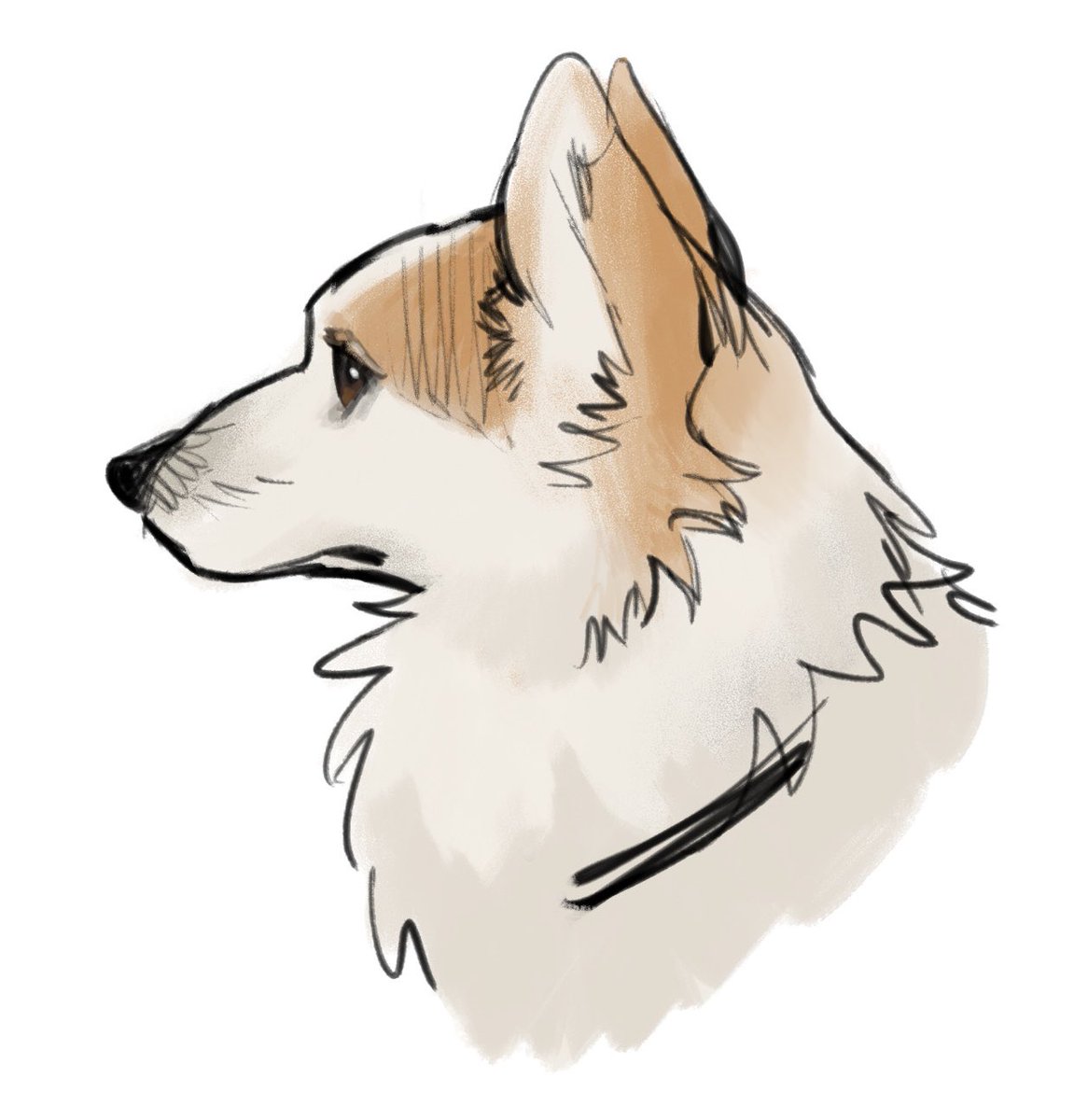 there is a unique kind of satisfaction i get from being offline and drawing whatever i want with no pressure to make it good, this time ft my friend's pets (10s life drawing of cat included)