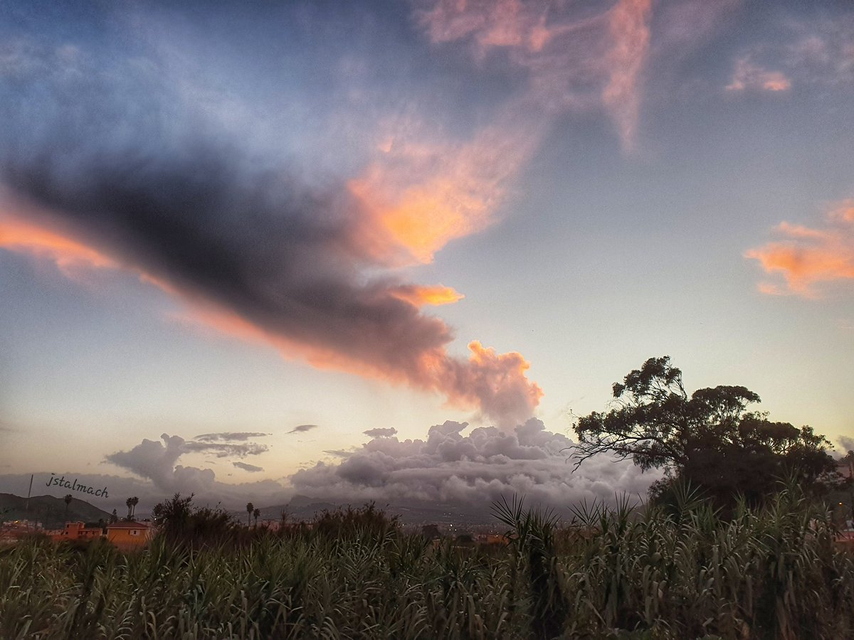 Hedwig88659153's tweet photo. El cielo hoy al atardecer en la Vega Lagunera era un poema #Tenerife #Canarias #CanaryIslands #sunst @VickyPalmaMeteo https://t.co/L1szj9LJWx