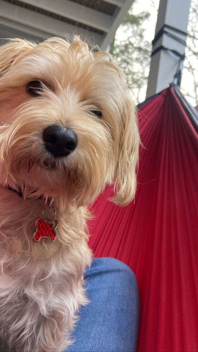 Mike Salomon tweet media