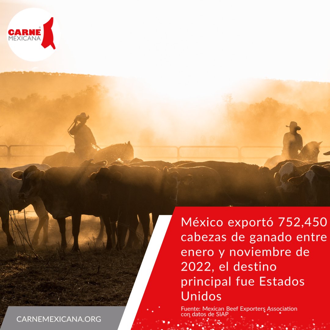 carnemexicana's tweet photo. México exportó 752,450 cabezas de ganado entre enero y noviembre de 2022, el destino principal fue Estados Unidos @SIAP_Mx @Agricultura_mex @SENASICA #datosdecarne #estadisticasdecarne https://t.co/rypC2dXFic