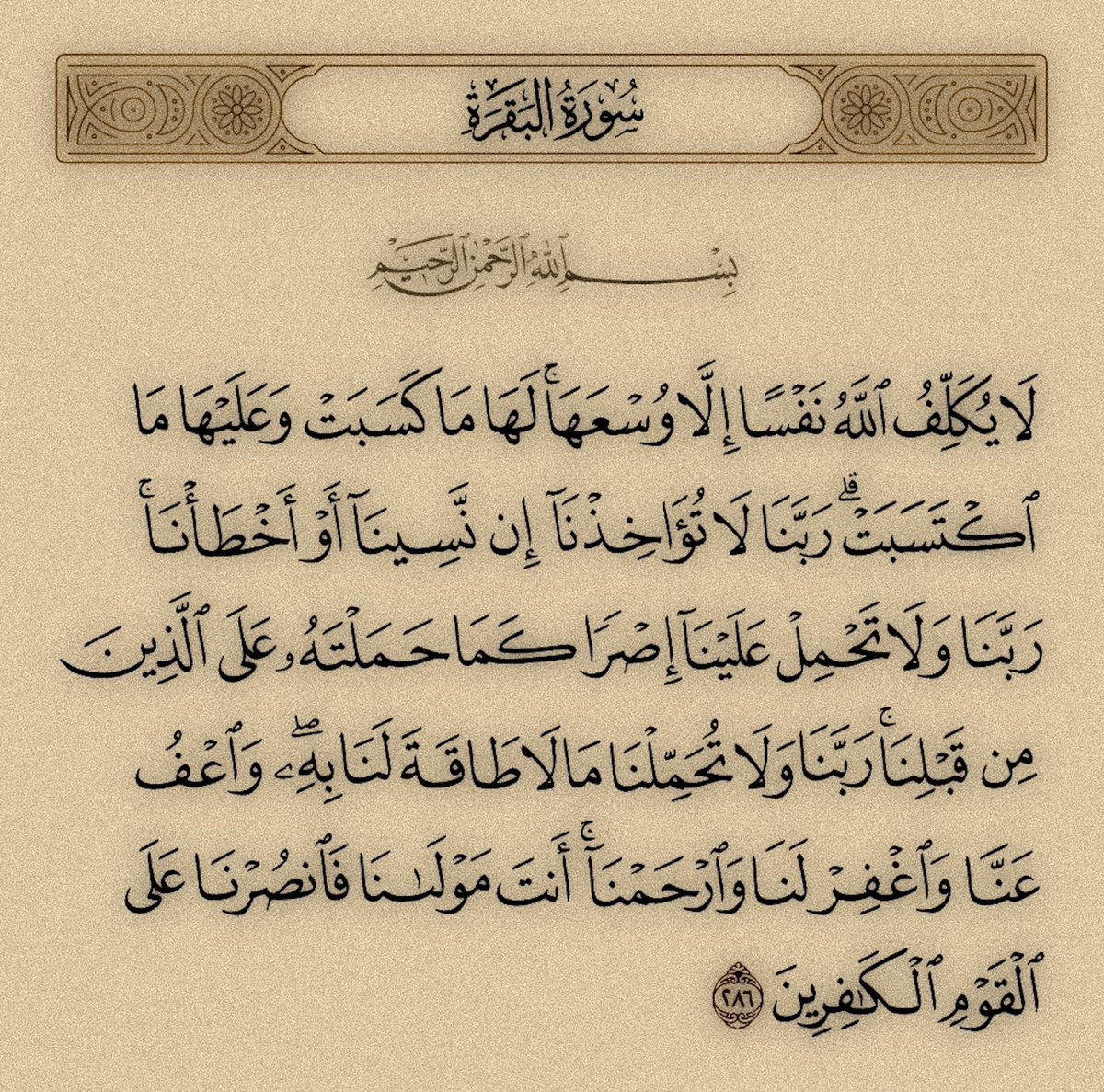 qquran7's tweet photo. https://t.co/1g0zIv1Pcr