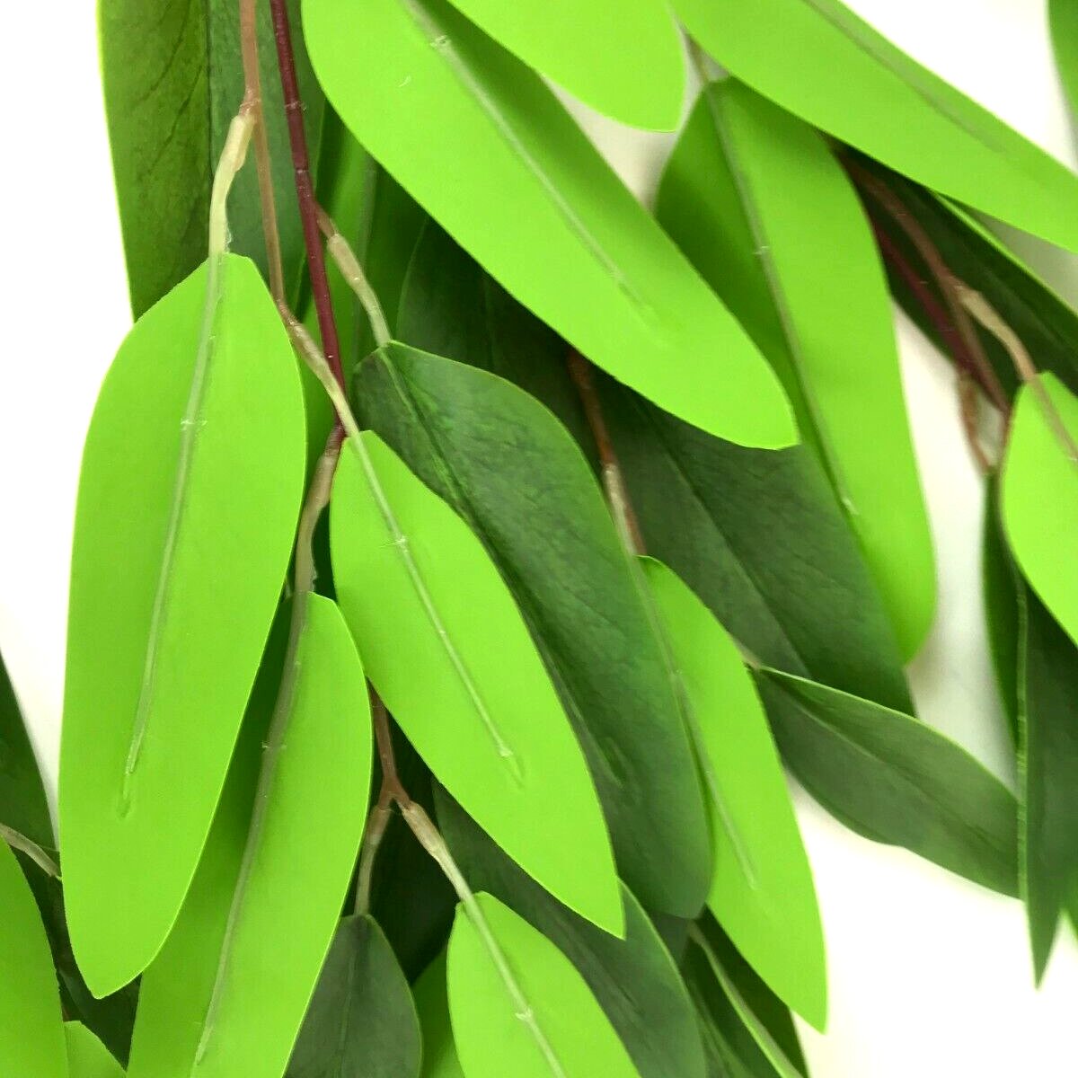 ArtificialDevon's tweet photo. This Artificial Long Leaf Branch is ideal for craft projects and filling large bold flower displays 🍃 Posted from our small business in North Devon 📦 https://t.co/geAt8FAj6g #artificial #foliage #homedecor #flowerdisplays #craft #crafting #homedecorideas #Devon #northdevon https://t.co/DJrkENZVUI