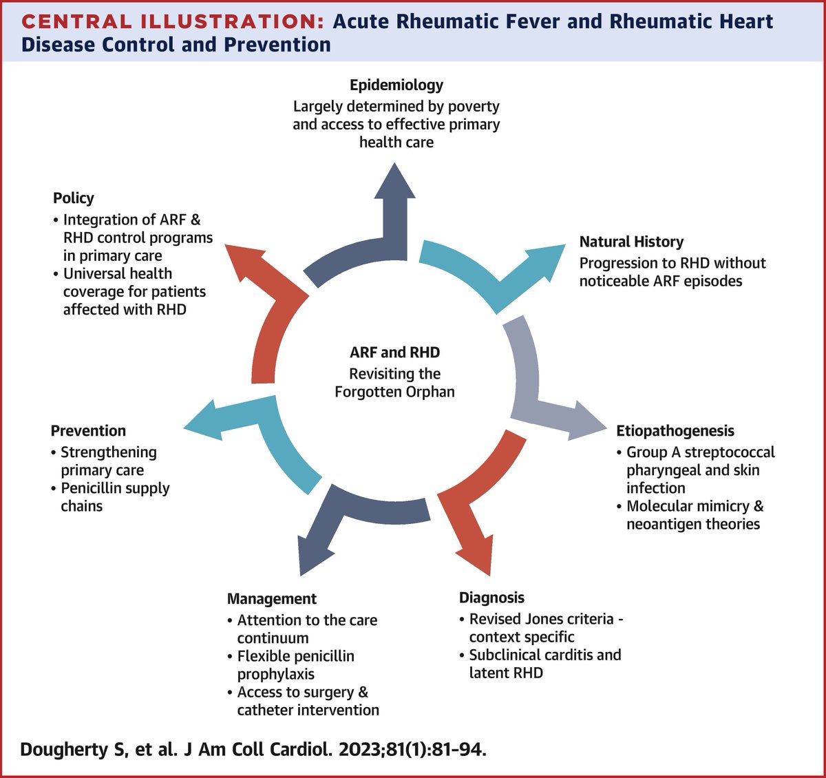 SeguraCardio's tweet photo. 📌Rheumatic Heart Disease
@JACCJournals #FocusSeminar #CardioTwitter #CardioEd https://t.co/qqytXRtHur