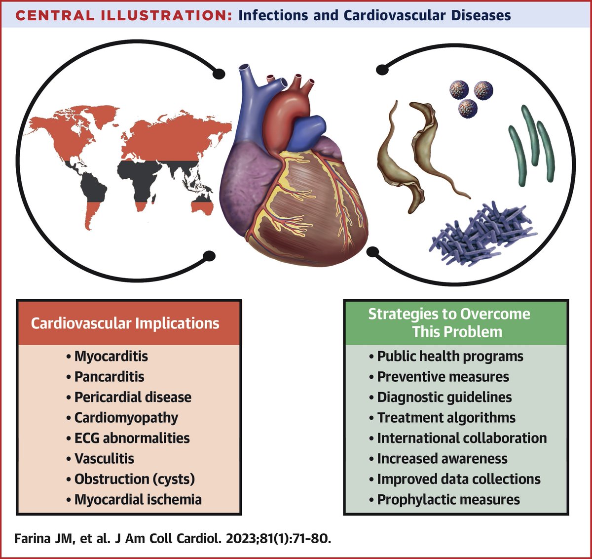 SeguraCardio's tweet photo. 📌Infections & Cardiovascular Disease
@JACCJournals #FocusSeminar #CardioTwitter #CardioEd https://t.co/k7XLpZU3zz