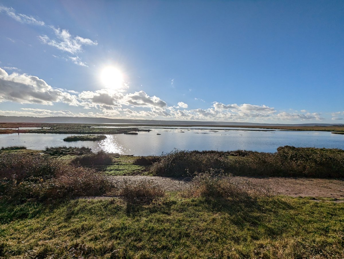 asdes_UK's tweet photo. Soaking up the sun and #vitaminnature @WWTLlanelli https://t.co/JyYpFmnQMQ