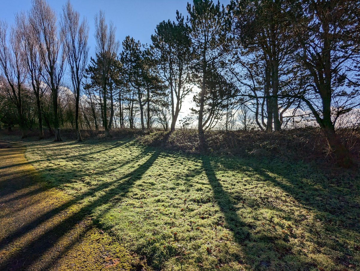 asdes_UK's tweet photo. Soaking up the sun and #vitaminnature @WWTLlanelli https://t.co/JyYpFmnQMQ