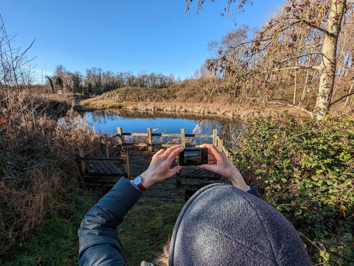 asdes_UK's tweet photo. Soaking up the sun and #vitaminnature @WWTLlanelli https://t.co/JyYpFmnQMQ