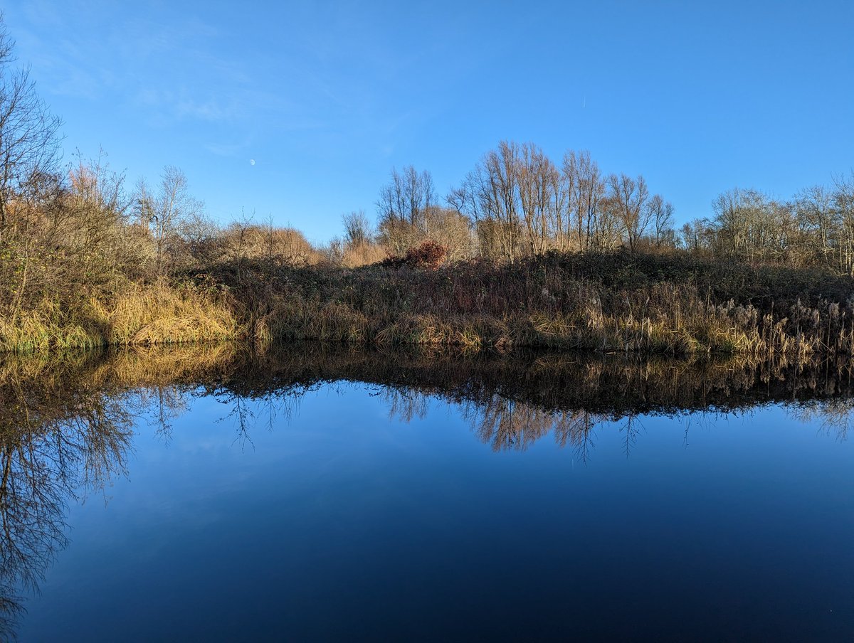 asdes_UK's tweet photo. Soaking up the sun and #vitaminnature @WWTLlanelli https://t.co/JyYpFmnQMQ