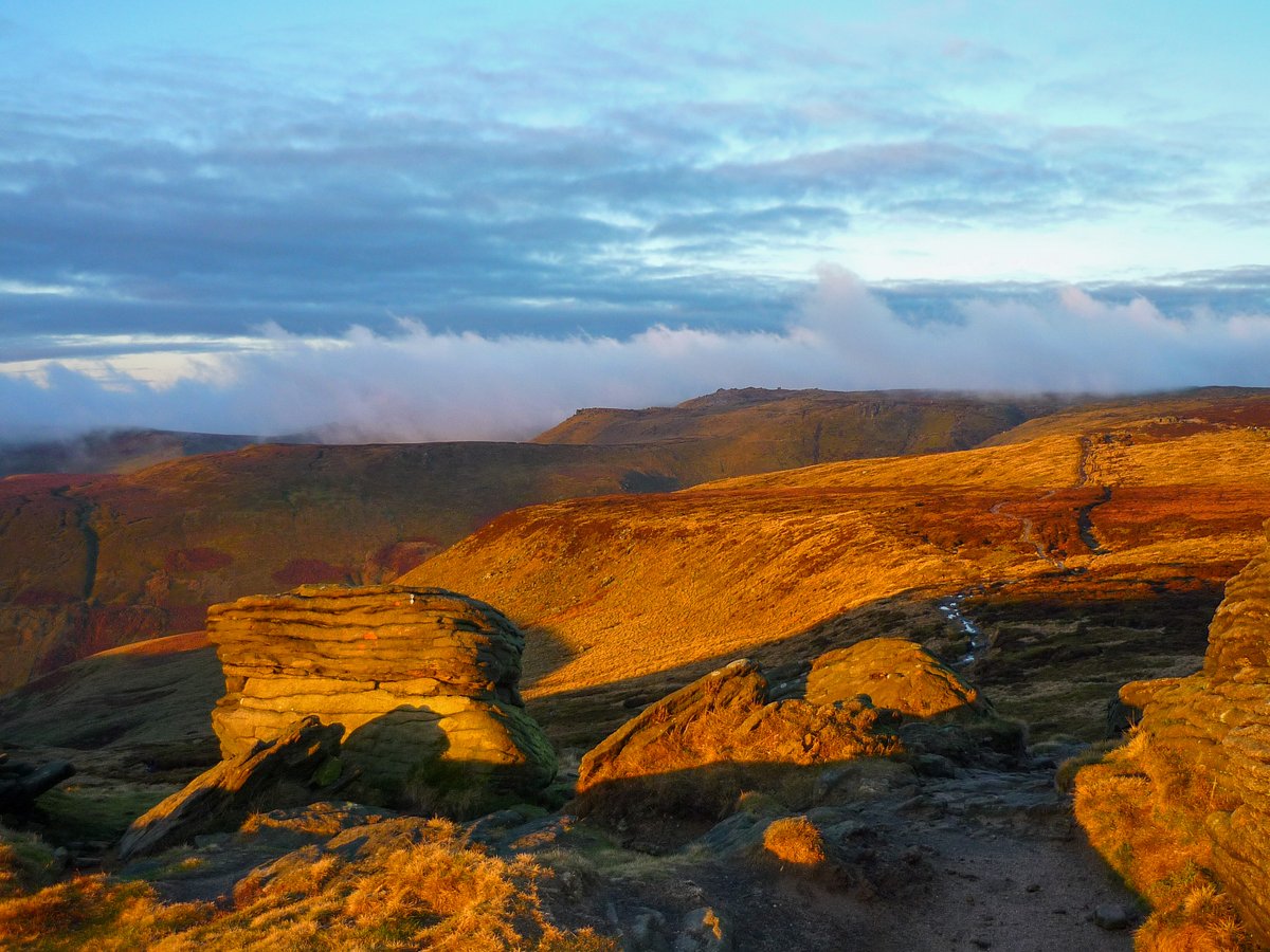 Sarah Lister tweet media