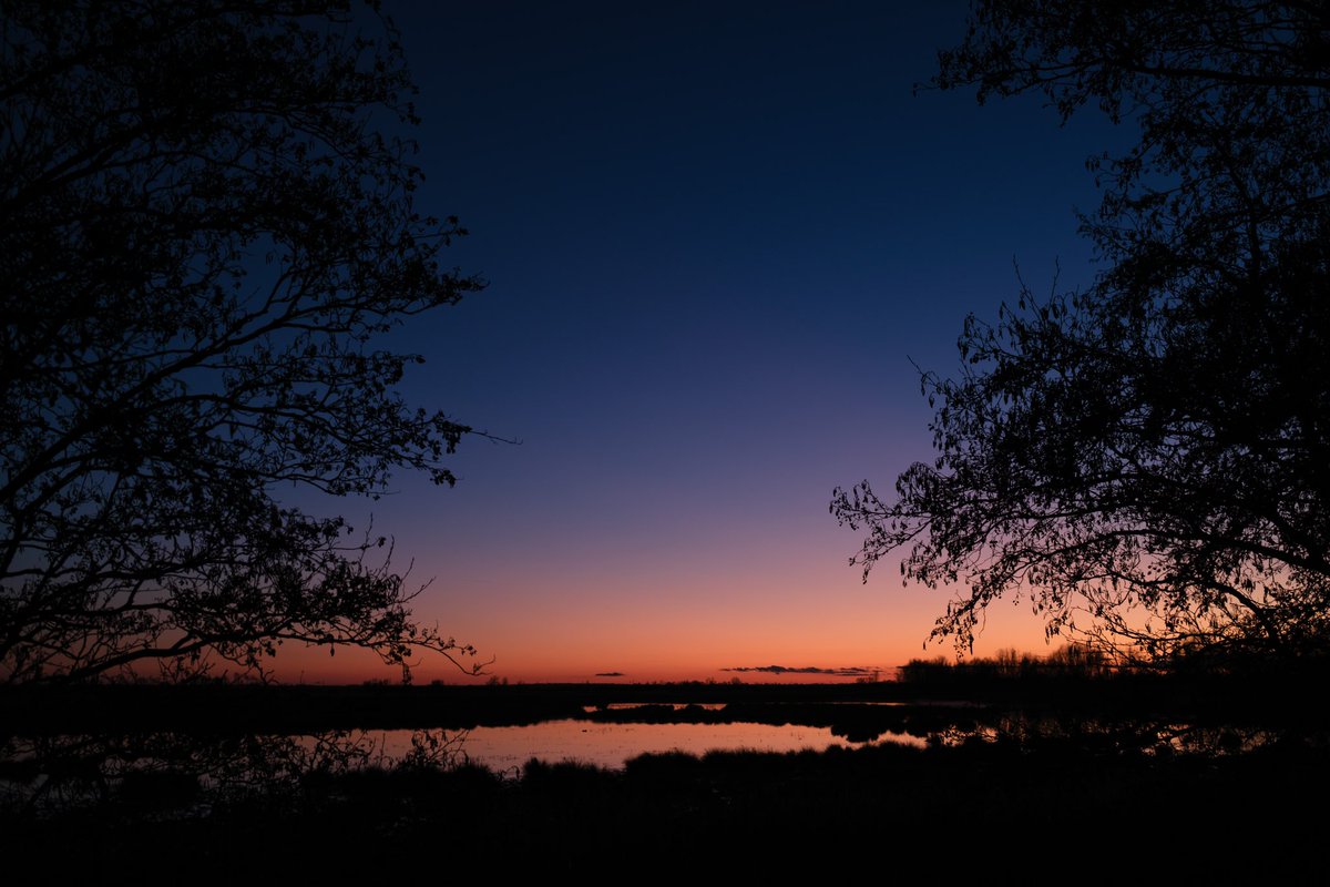 nigelgutgenug's tweet photo. Dusk at @WickenFenNT 02/01/23
#fujifilm #FujifilmX100V #fujifilm_xseries #35mm #35mmphotography #dusk #sunset #wickenfen #nationaltrust #thefens #fascinatingfens #happyplace https://t.co/IzArgaG1og