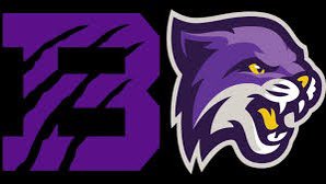 shumaker_drea's tweet photo. Blessed to receive an offer from Bethel University Wildcats! 🟣🐾 @CoachKLBs https://t.co/yDDj5FJhGt