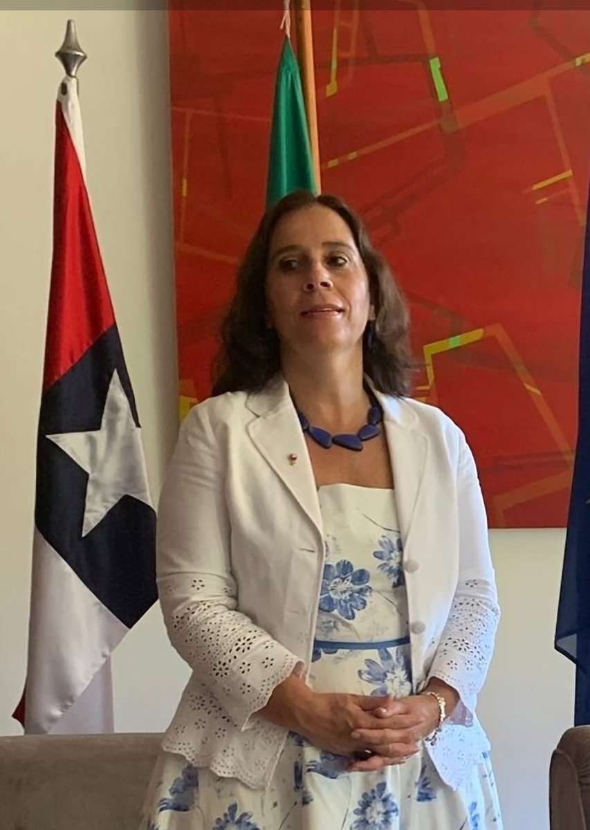 pablolirar's tweet photo. Es una vergüenza ver nuestra bandera invertida 🇨🇱... no tienen respeto por nuestros símbolos patrios.  Definitivamente no hay nada que sepan hacer bien @GabrielBoric @UrrejolaRREE! https://t.co/svp7HD9vSZ