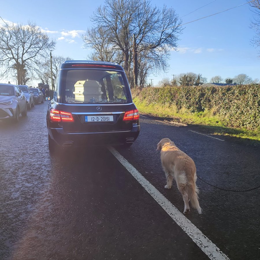 FlfeA3WWQAA6-ON?format=jpg&name=900x900