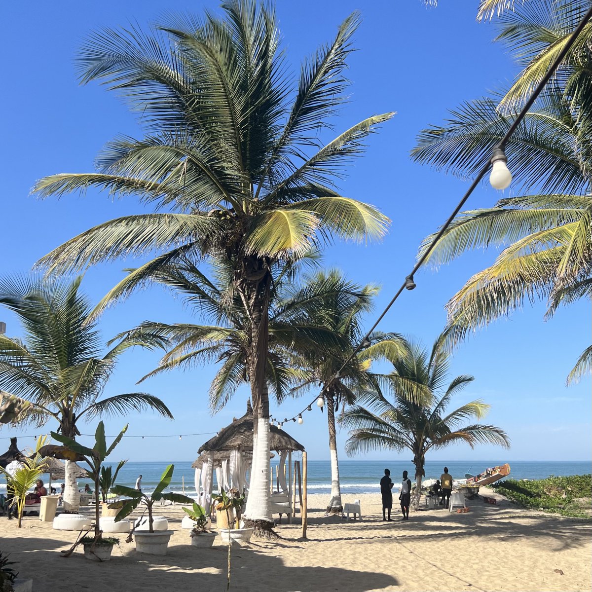 MariamasTL's tweet photo. Home 🇬🇲❤️ https://t.co/p80qpeKIAn
