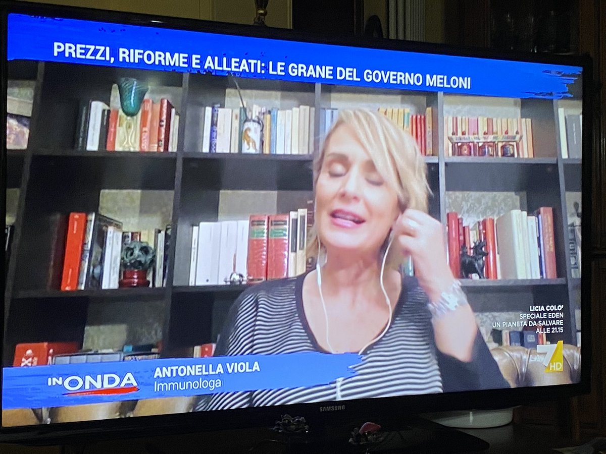 annarita digiorgio tweet media