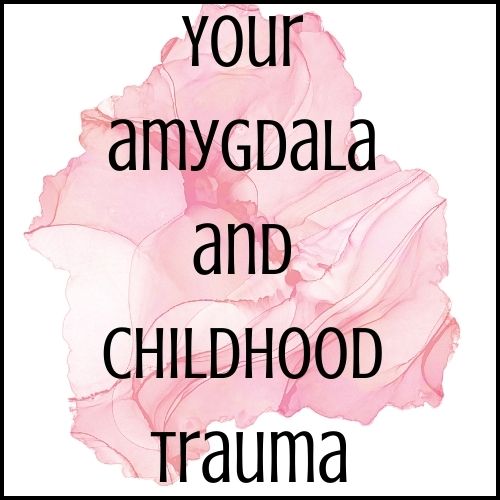 TwoForSue's tweet image. 4 Things You Should Know
 From A Mental Health Nurse
twoforsue.com/your-amygdala-…
[Link Above]
#mentalhealth #trauma #ptsd #support