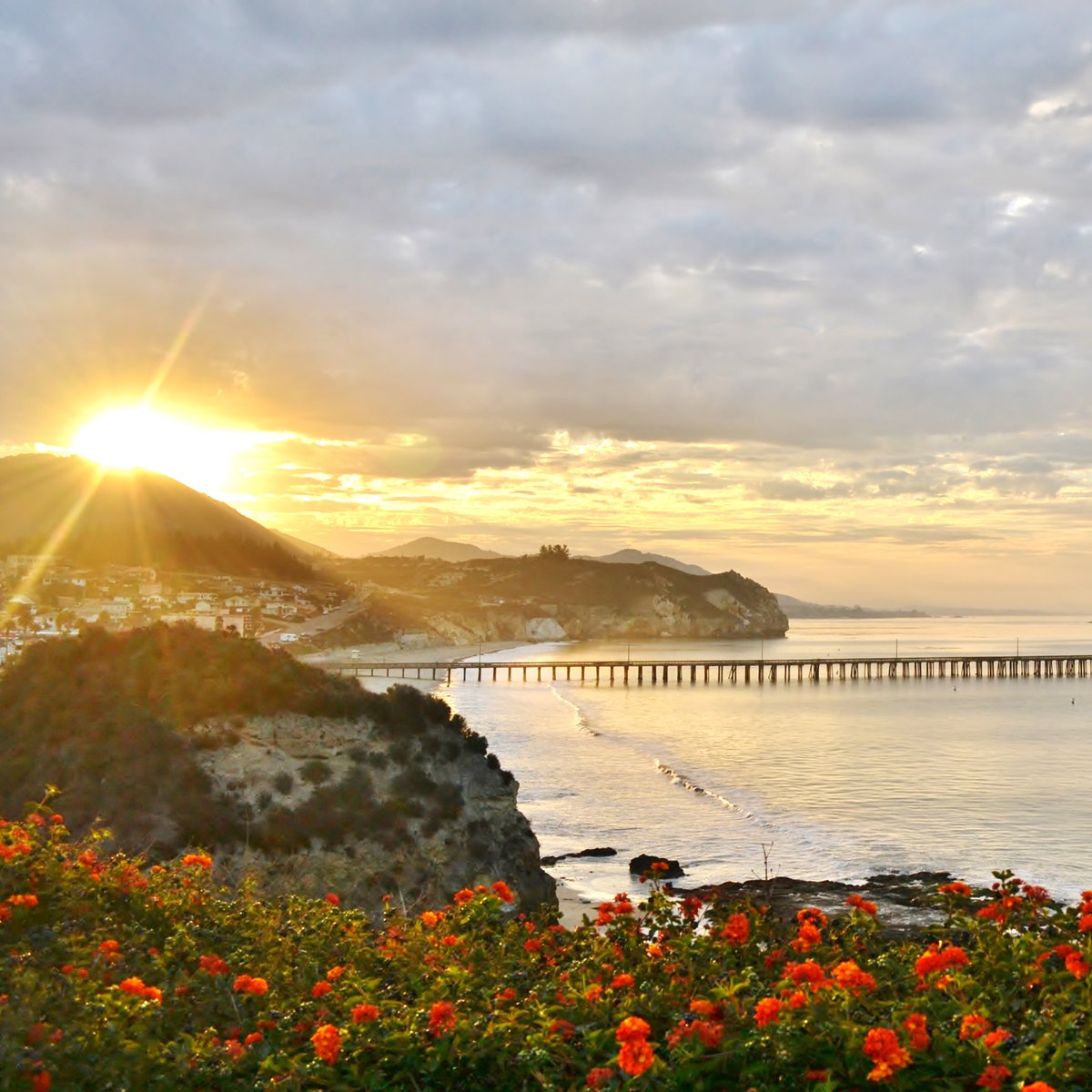 Beautiful views, delicious eateries, and some of the best wineries are just a few reasons you should cycle in Avila Beach! 🌊