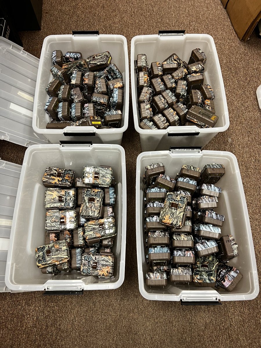 It’s hard to see in the photo but these camera traps are shaking with excitement to collect data! Field season 2023 has begun! #cameratraps #ecology