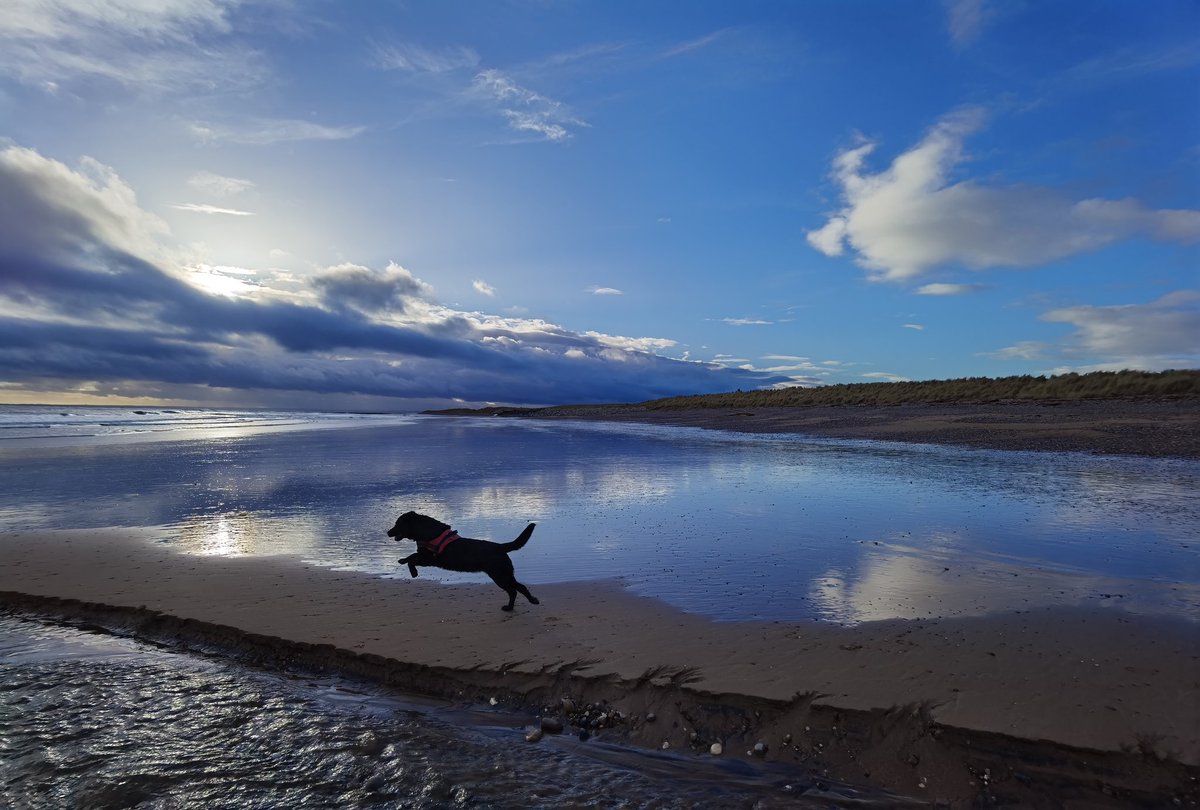 Perfect way to end the year. #Huawei #HuaweiP40Pro #CapturedOnHuawei #LoveMyHuawei #MyHuaweiMoment #HuaweiCommunity #Arbroath @HuaweiMobileUK @HuaweiMobile