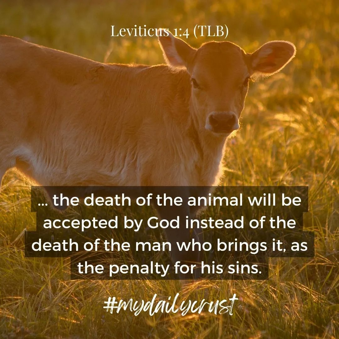 crust_daily's tweet photo. Better than human #sacrifice, I guess, but so weird how God craves #death.
#penalty #sins #verseoftheday #inspirational #mydailycrust #ourdailybread #satire #god #bible #jesus #church #christian #religion #agnostic #atheist #biblefail #mythology #superstition #faith #sin https://t.co/WZPNUyA5AU