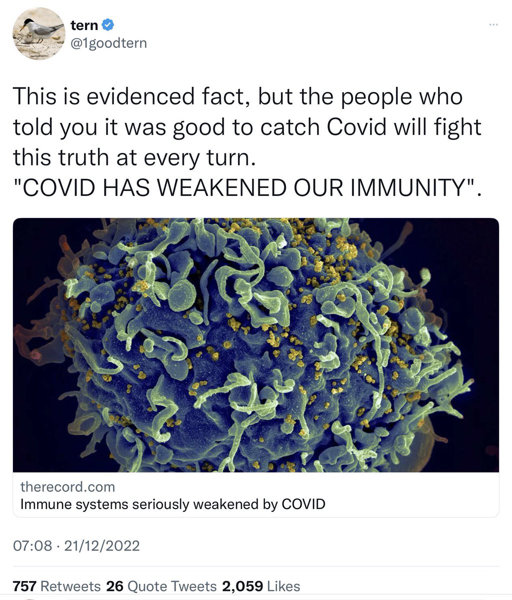 Saffiya_Khan1's tweet photo. @UKHSA Repeated SARS-CoV-2 infections are damaging our children’s immune systems.
We should be making sure that every classroom is as safe as possible with air purifiers/filters, at the very least. https://t.co/Cni370fydf