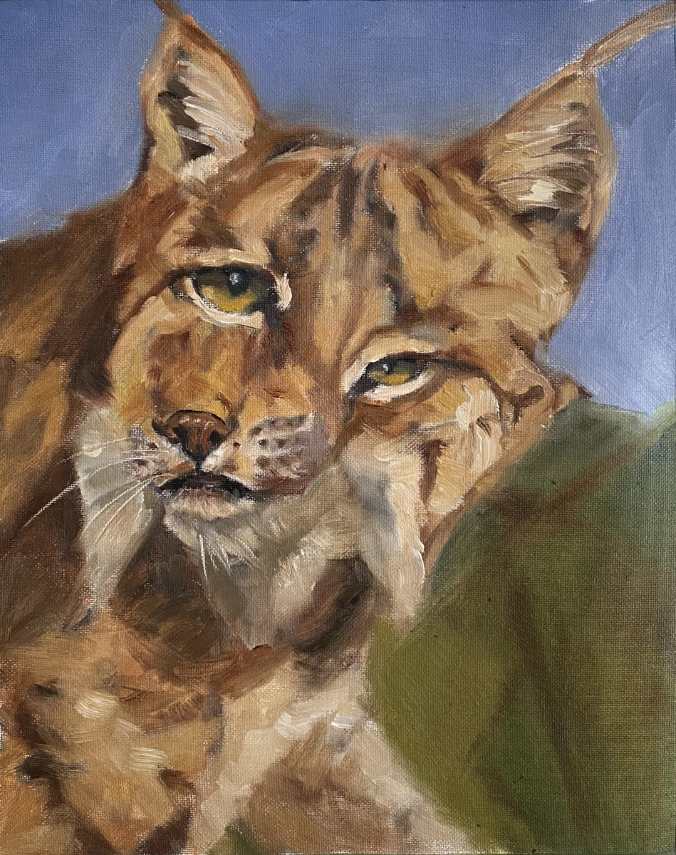 Lynx #lynx #wildlifepainting