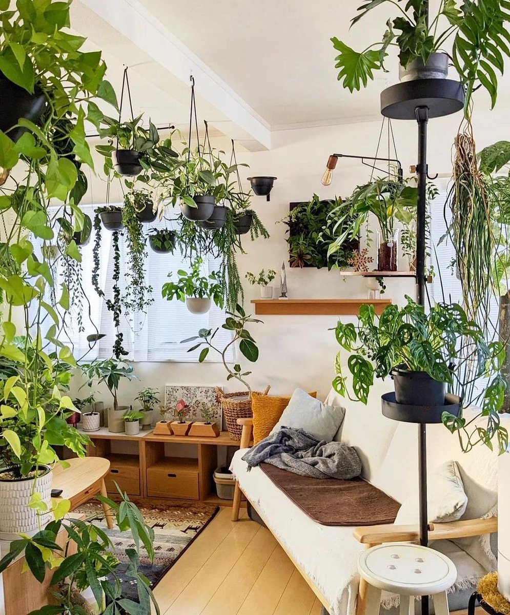 A plant filled living room 🌿