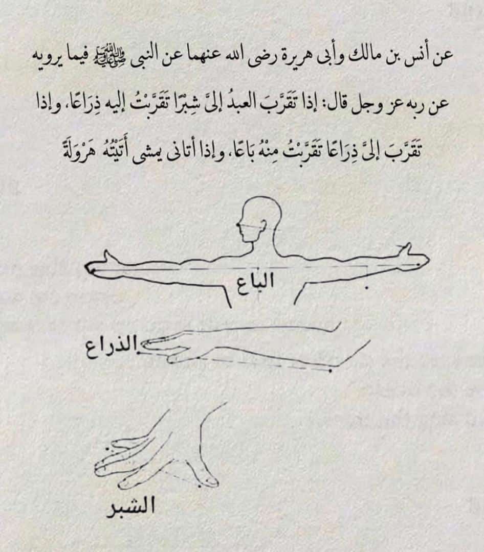 M7M7ed's tweet image. سبحان الله وبحمده سبحان الله العظيم