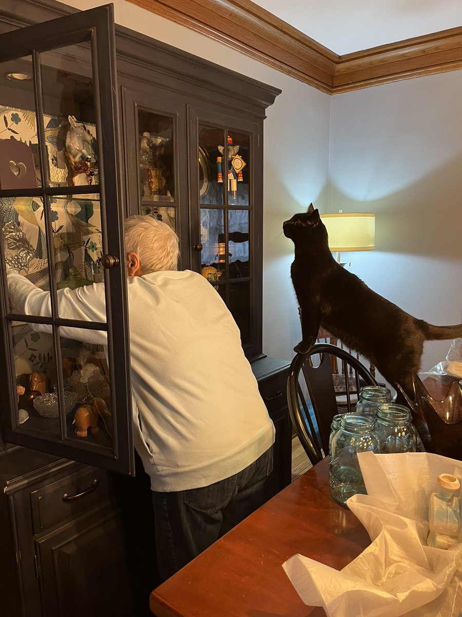 JenJoy's tweet photo. Day 5 - Grandma has a helper as she tries to decorate 🤦🏻♀️ #blackcatsrule #momvisit #memories https://t.co/bgI2v4dKBC