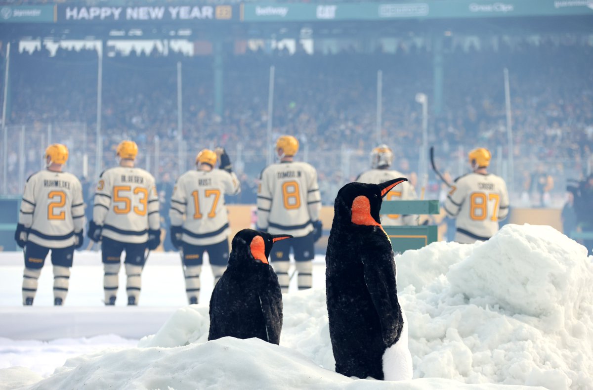 penguins's tweet photo. 🐧🐧🐧🐧🐧 https://t.co/B9SmQM55UO