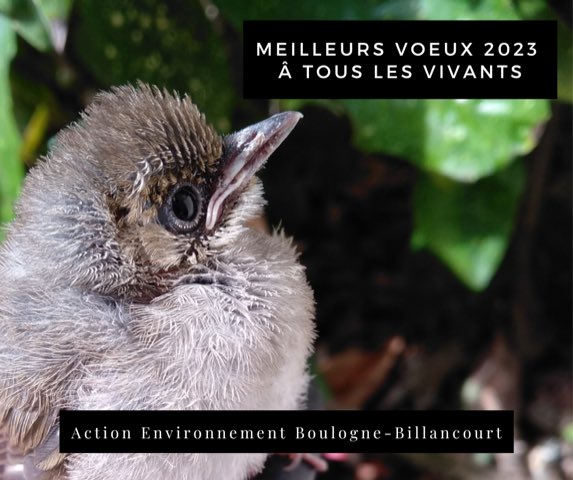 Meilleurs voeux!
#voeux2023 #2023 #environnement #écologie #Boulogne Billancourt #AEBB