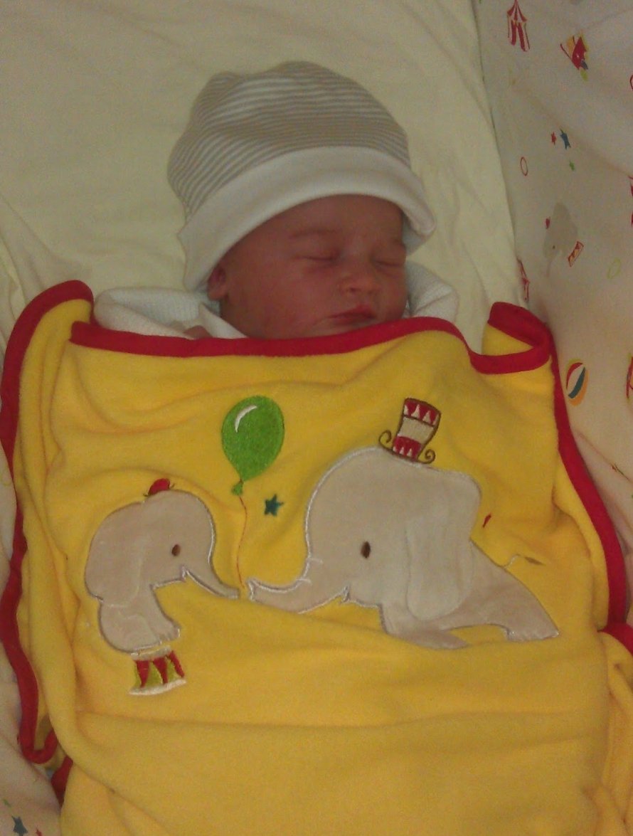 Amy Knapper tweet media