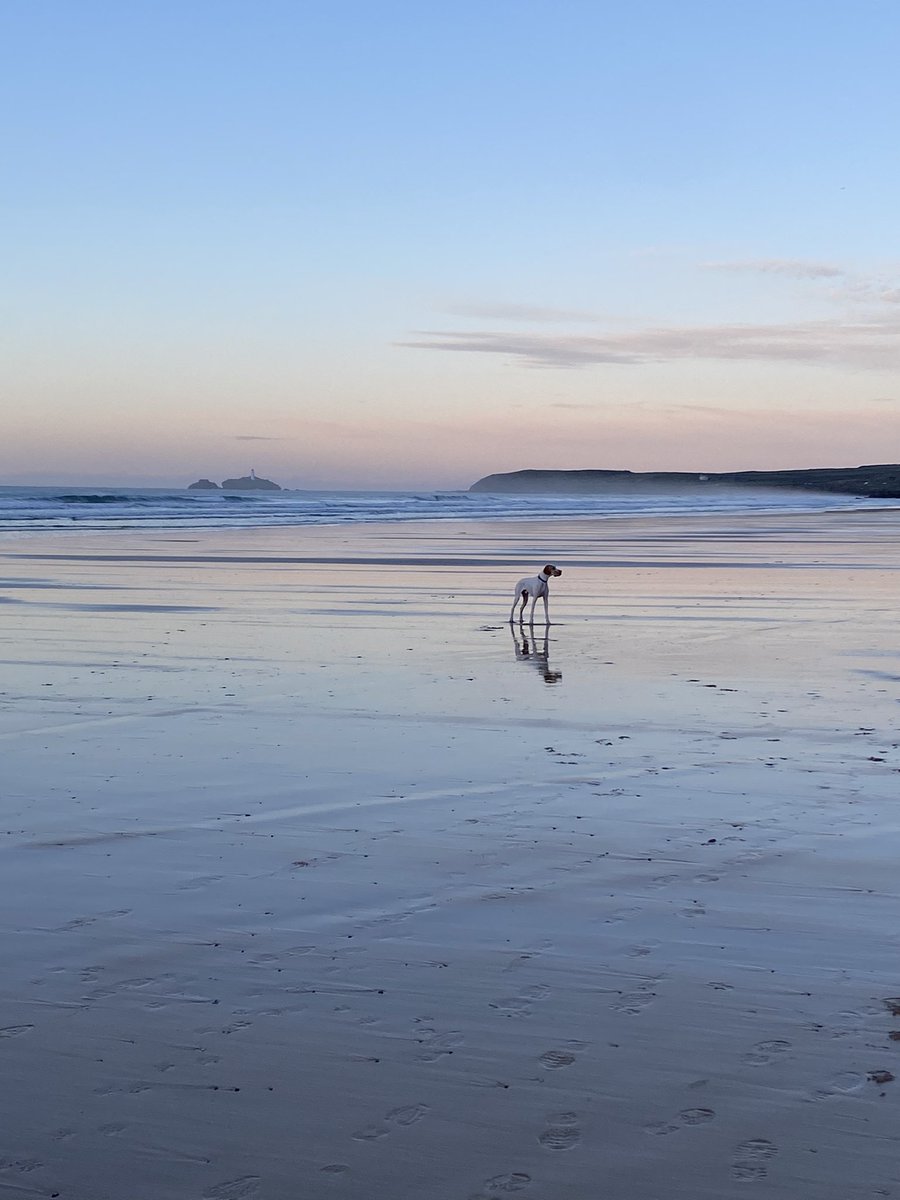 Jenny Claire McAneny-Vincent tweet media