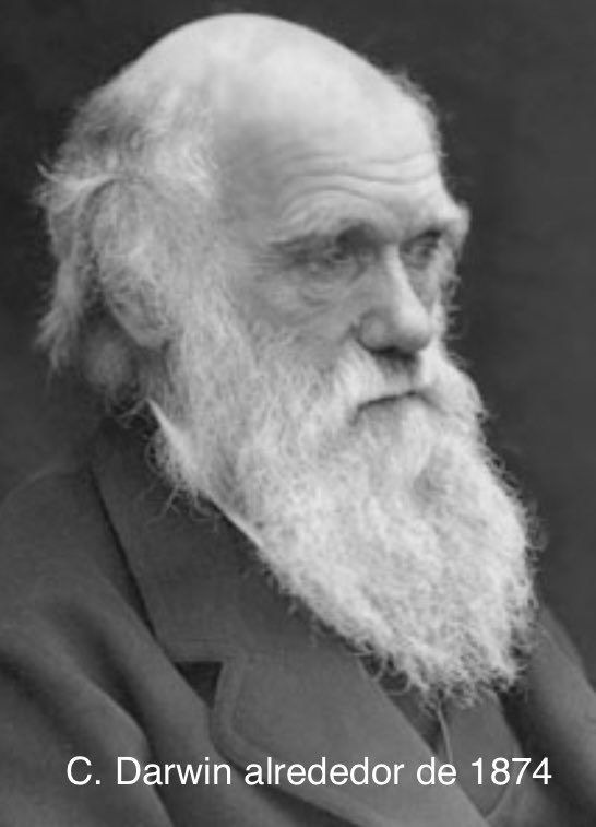pablovargas1111's tweet photo. LIBRO: “La evolución en 100 preguntas” ¿Cuál es el desacierto mayor de Darwin? Creer que la herencia por gémulas explicaba la evolución. La genética vino después. Por ello cuando se dan resultados genéticos en evolución hay que referirse al neodarwinismo, y no al darwinismo. https://t.co/neqMQ3BhBd