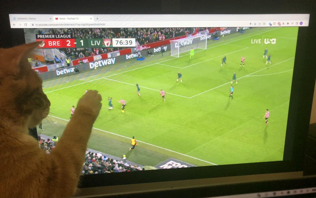 NotNotBRoller's tweet photo. Lil’est Brentford fan https://t.co/Oo5nWa1a5Q