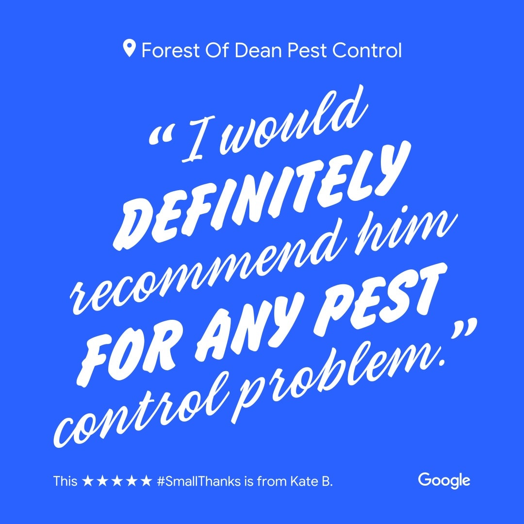 FODPC's tweet photo. We just love getting Positive reviews about the hard work we carry out to help keep poeples homes and work places pest free.

Give Matt and the Team a call on 01594528359 

#pestcontrolnearme #pestcontrolforestofdean #dontstressaboutyourpests #pestfreehomes #pestcontrolgloucester https://t.co/CtiiXoyr2j