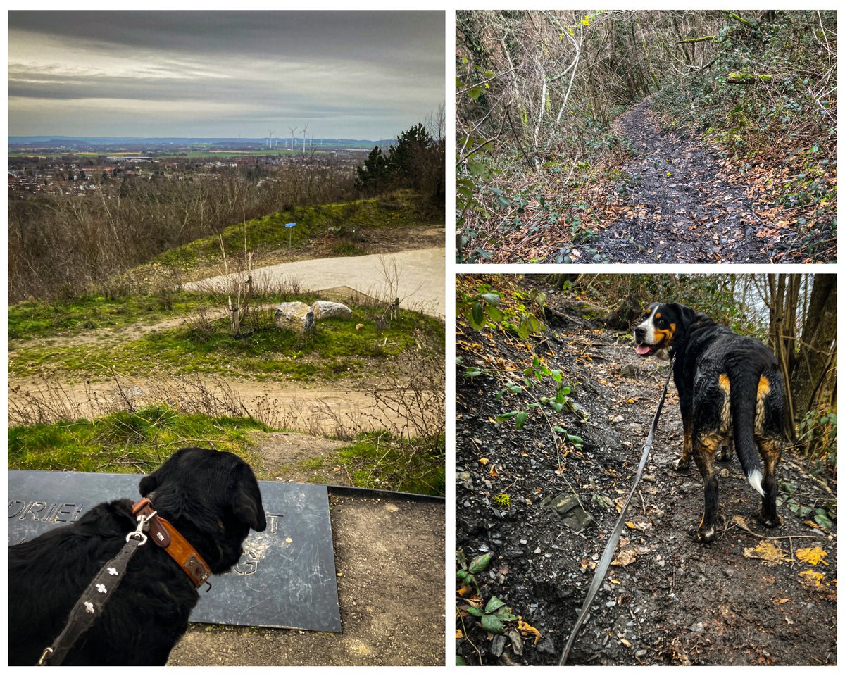 #Traveling to #theNetherlands soon? #visitzuidlimburg and hike the #dutchmountaintrail #dmt #togetheronadventure #hiking #linkinbio