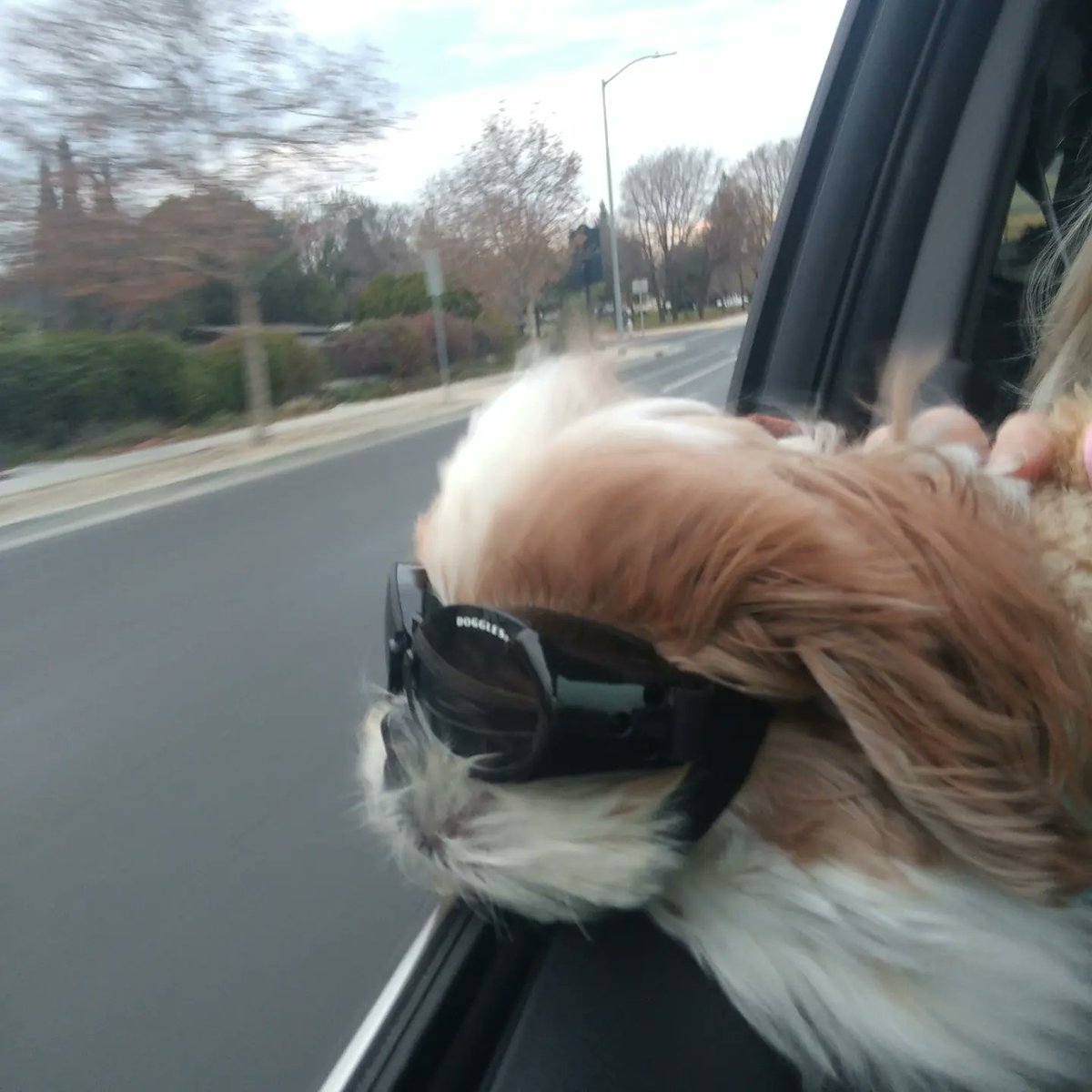 Agnes Garbowska🦄 tweet media