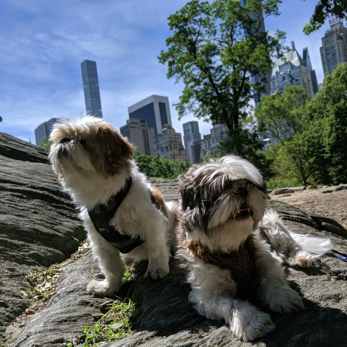 Agnes Garbowska🦄 tweet media