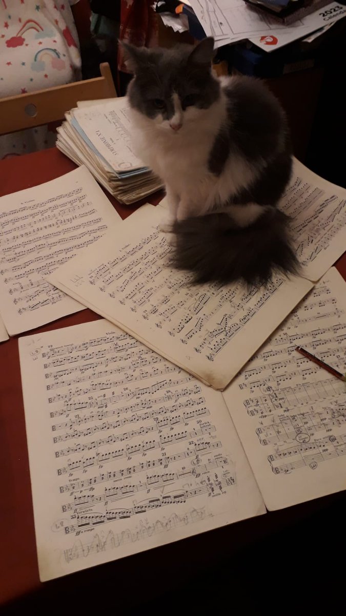Leader <a href="/alexpostl/">alex postlethwaite</a> has been working hard bowing string parts, ably 'assisted' by Minnie &amp; Mimi 😆

They love a spot of Mahler &amp; Richard Strauss - and who could argue? 

Join us on Weds 5th April 2023 7:30pm at the Alington Hall for Mahler's 1st Symphony &amp; Strauss' Four Last Songs