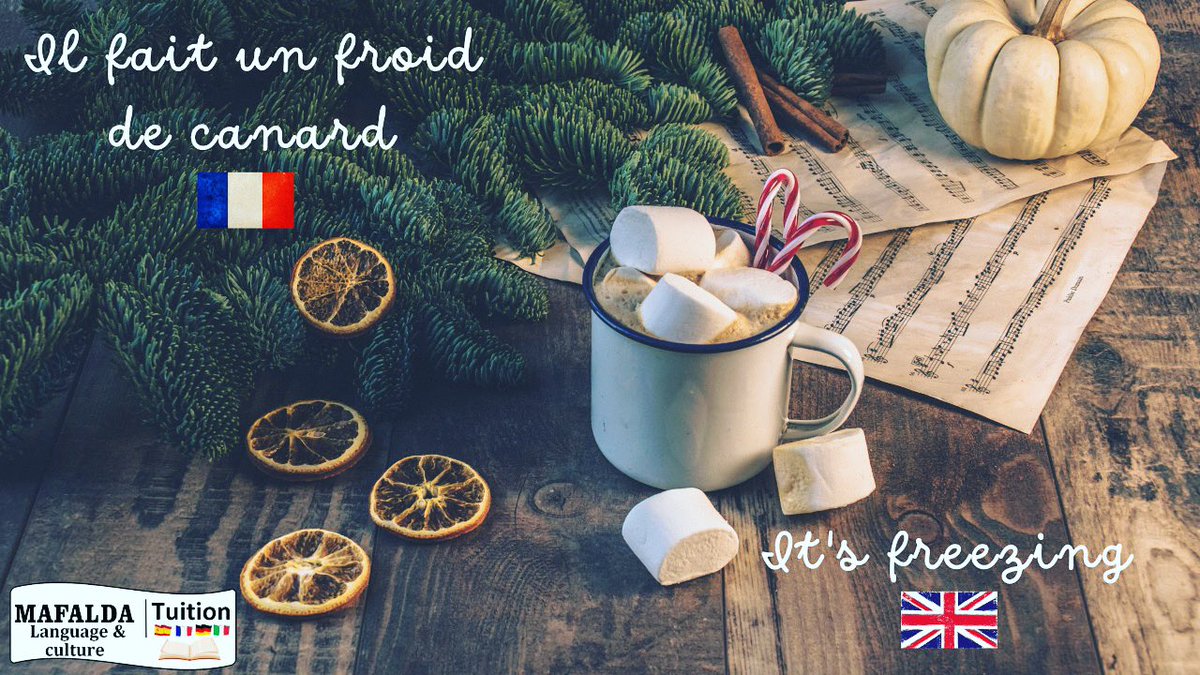 MafaldaTuition's tweet photo. 🇫🇷Bienvenue Janvier🇫🇷 The return of our weekly idiom 🤓. This week is all about the weather 🥶 #french https://t.co/vB5OD6dFyj
