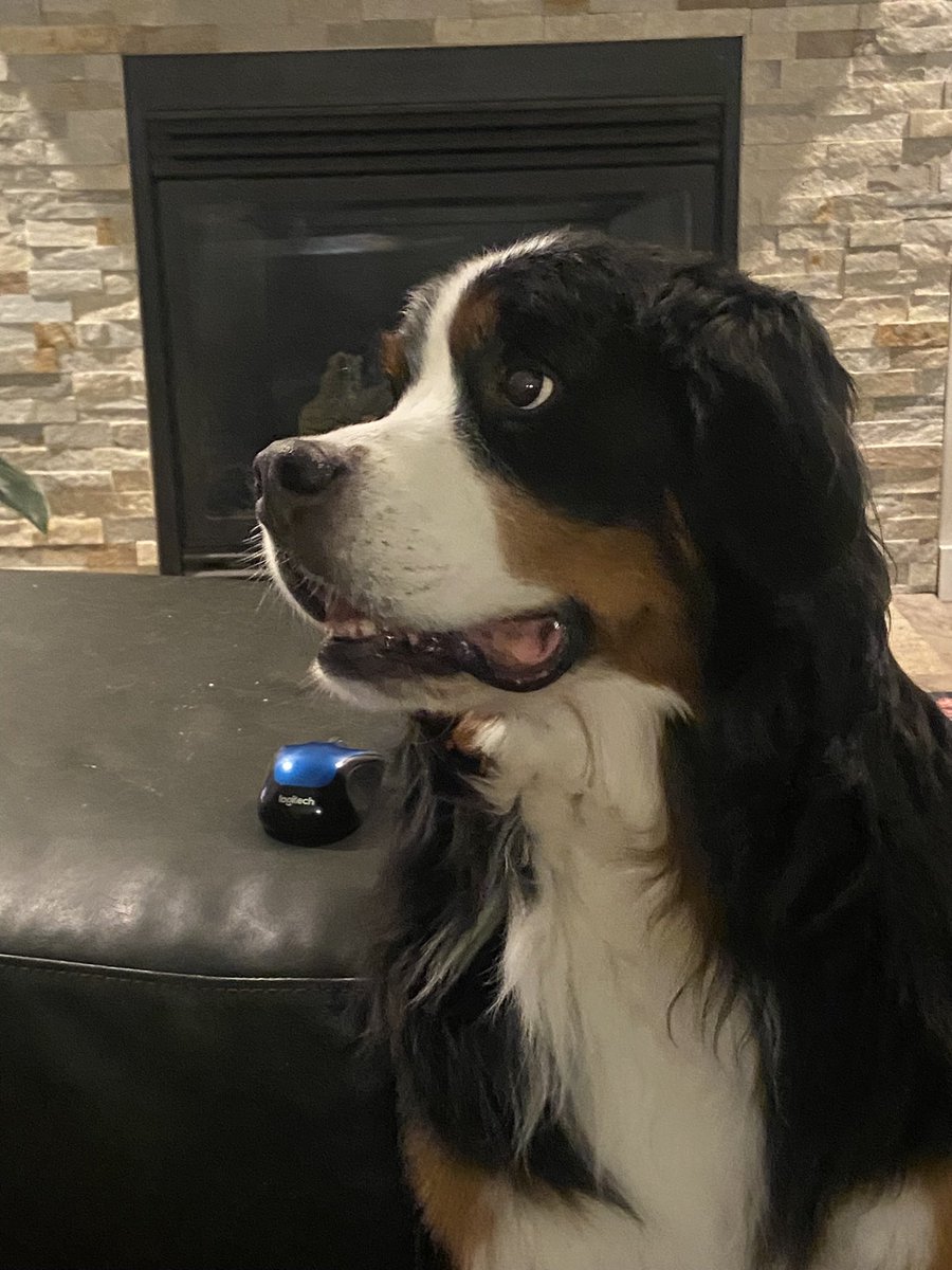 Marnie Ballane tweet media