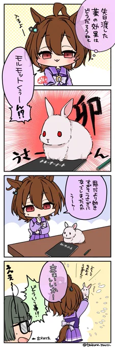 今年もよろしく頼むよ🐰くん
⚠️顔ありトレ♀ 