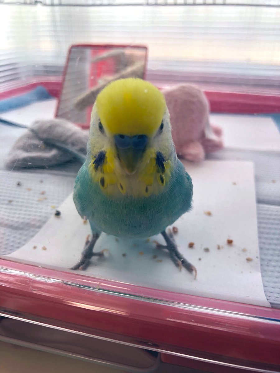 仁王立ち。ここは通さんっ！