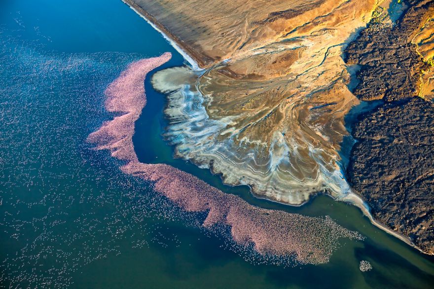 yesjimstheman's tweet image. Flamingos at Lake Logipi, Kenya, Mark Harvey Drones! 🤩