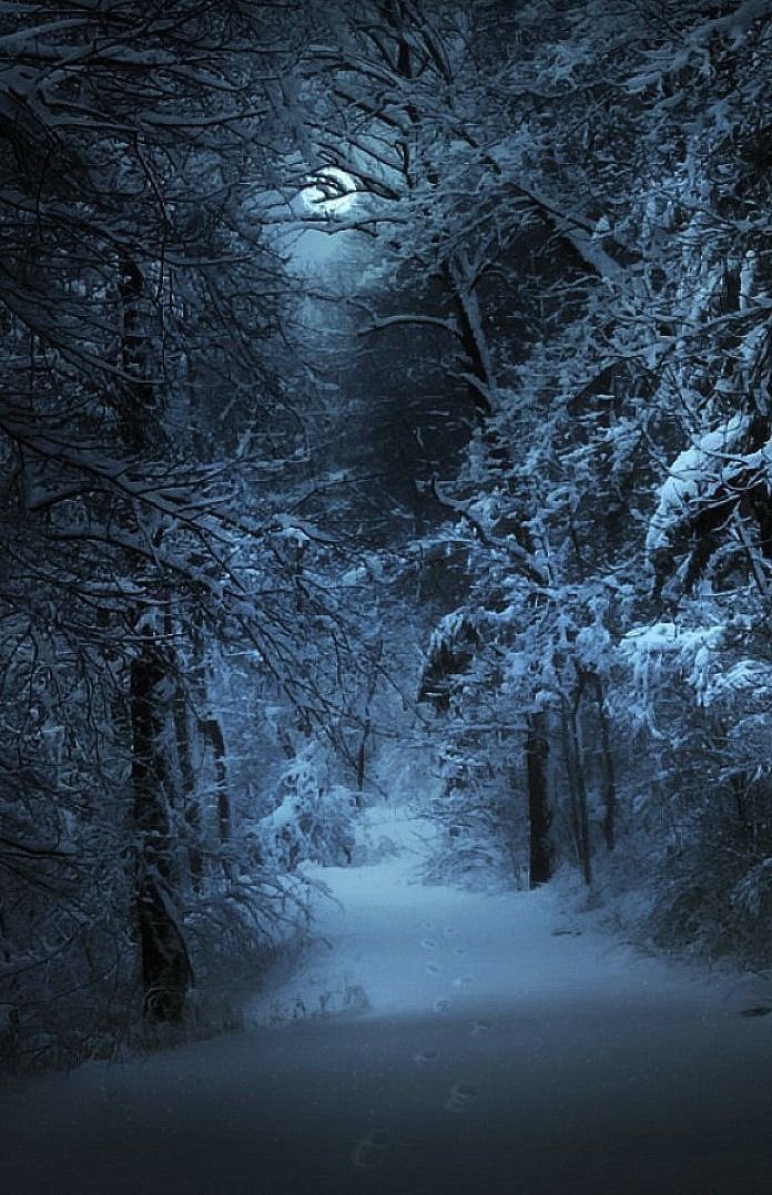 Meet me at midnight 
in the forest of 
my dreams. 
We’ll make a fire 
and count the stars 
that shimmer 
above the trees✨
 ~ bye Christy Ann Martine

I send you all peace🕊️

Goodnight ~
Till the morning light✨🌔🪐🖤